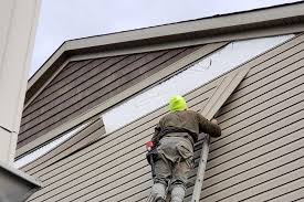 Best Insulated Siding Installation  in Alafaya, FL